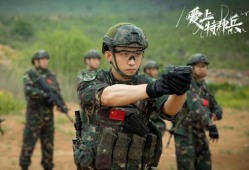 军旅题材电视剧,军旅英雄的荣耀征程